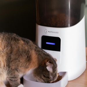 A domestic cat eating from an automatic pet feeder indoors. Perfect for pet lifestyle concepts.