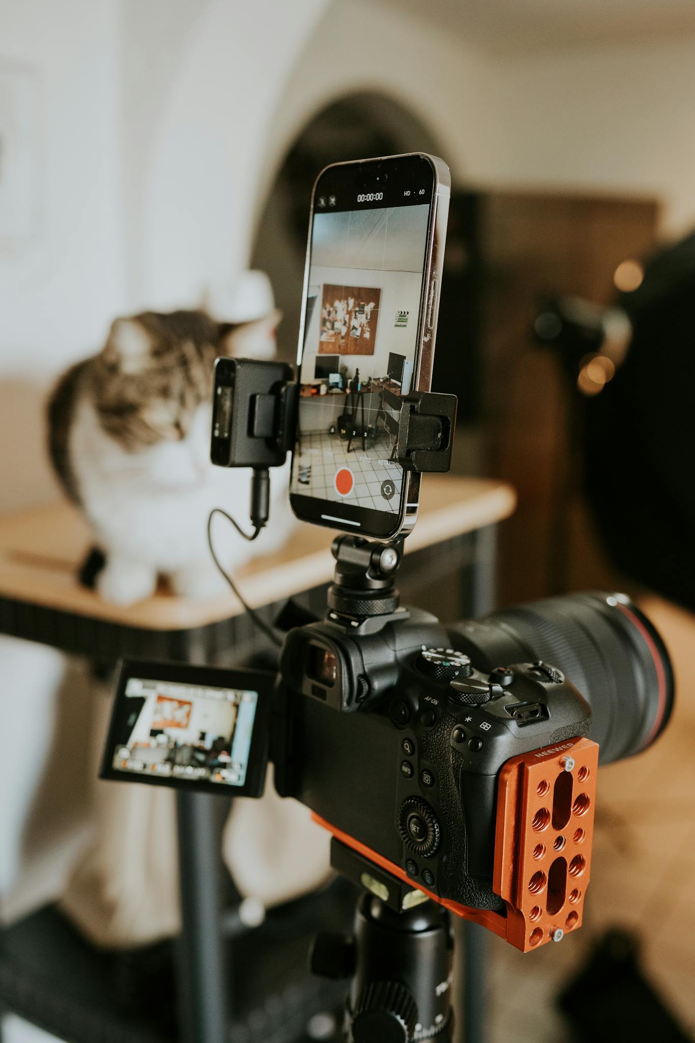 Camera and smartphone setup recording a cat in a creative photo studio.