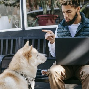 Man working remotely on laptop while interacting with Akita Inu dog outdoors.