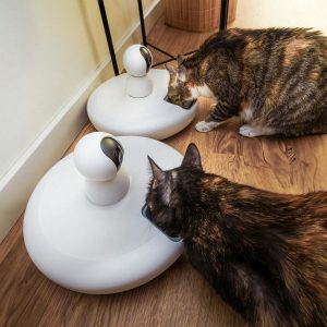 Two domestic cats eating from modern smart pet feeders in an indoor setting.